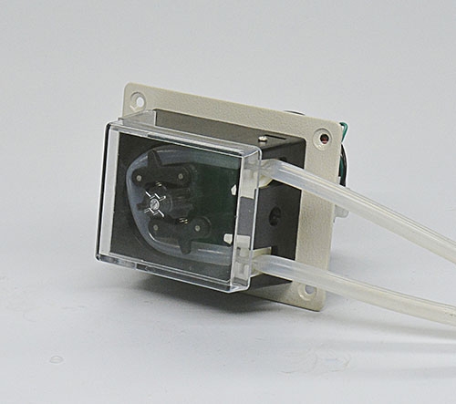 OEM-TH15弹簧蜜桃手机视频