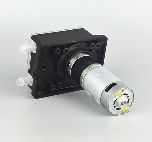 K25蜜桃手机视频