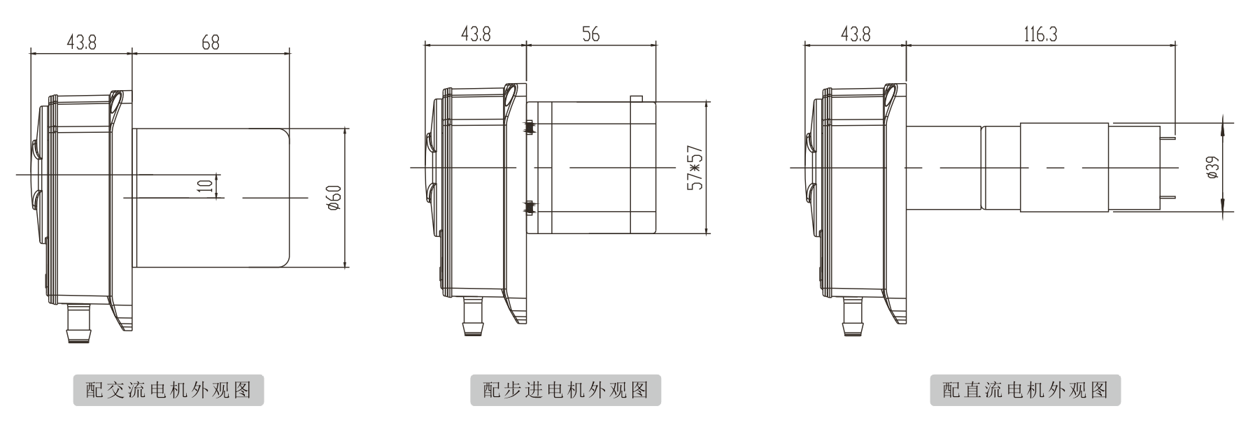 K25蜜桃手机视频
